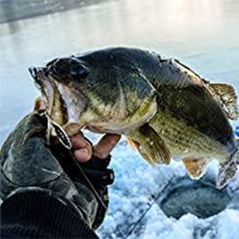 ABUE-Kayak Portable Fish Depth - Fishing Boat Depth Finder avis et prix