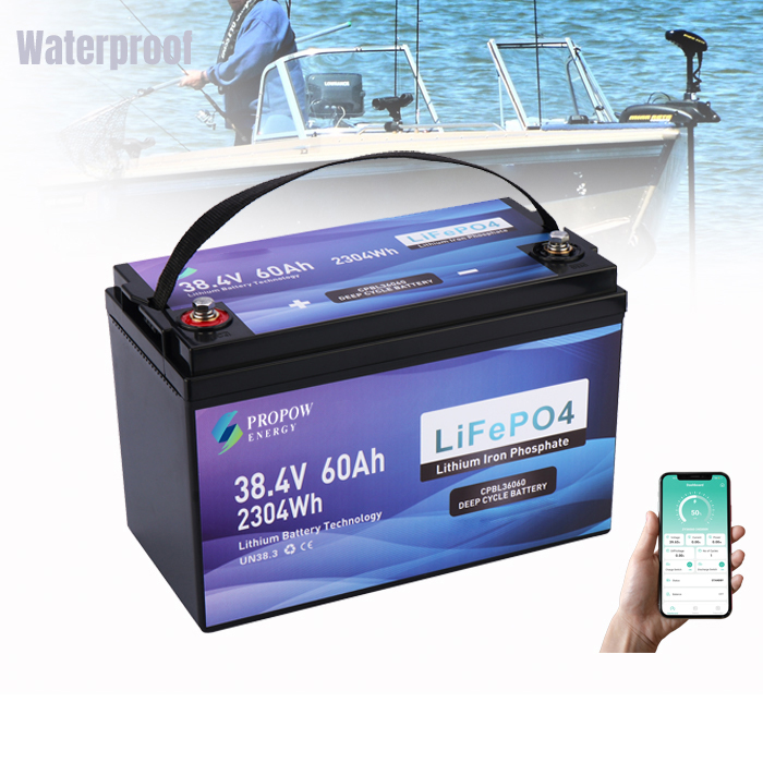 36Volt Motor Batteries Fishing - Fishing Boat Trolling Motor avis et prix